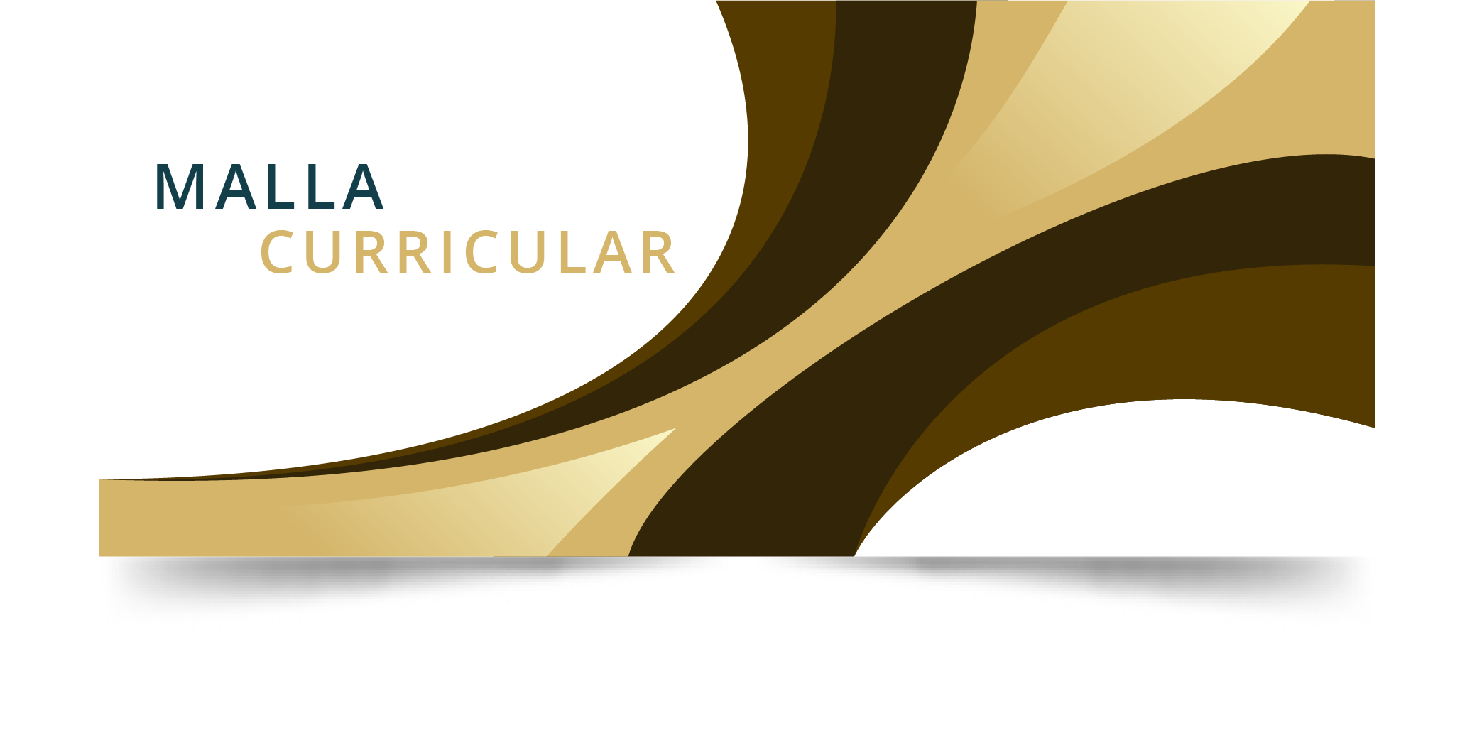 Malla Curricular