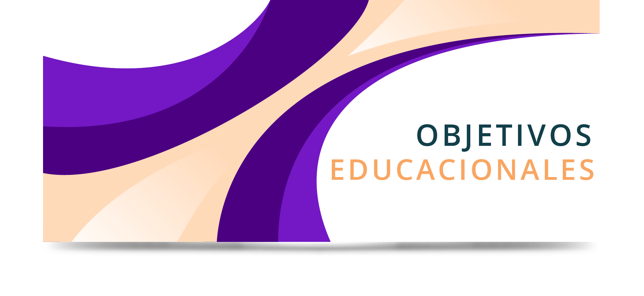 Objetivos Educacionales