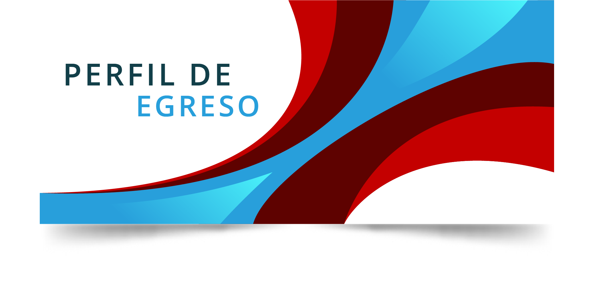 Perfil de Egreso