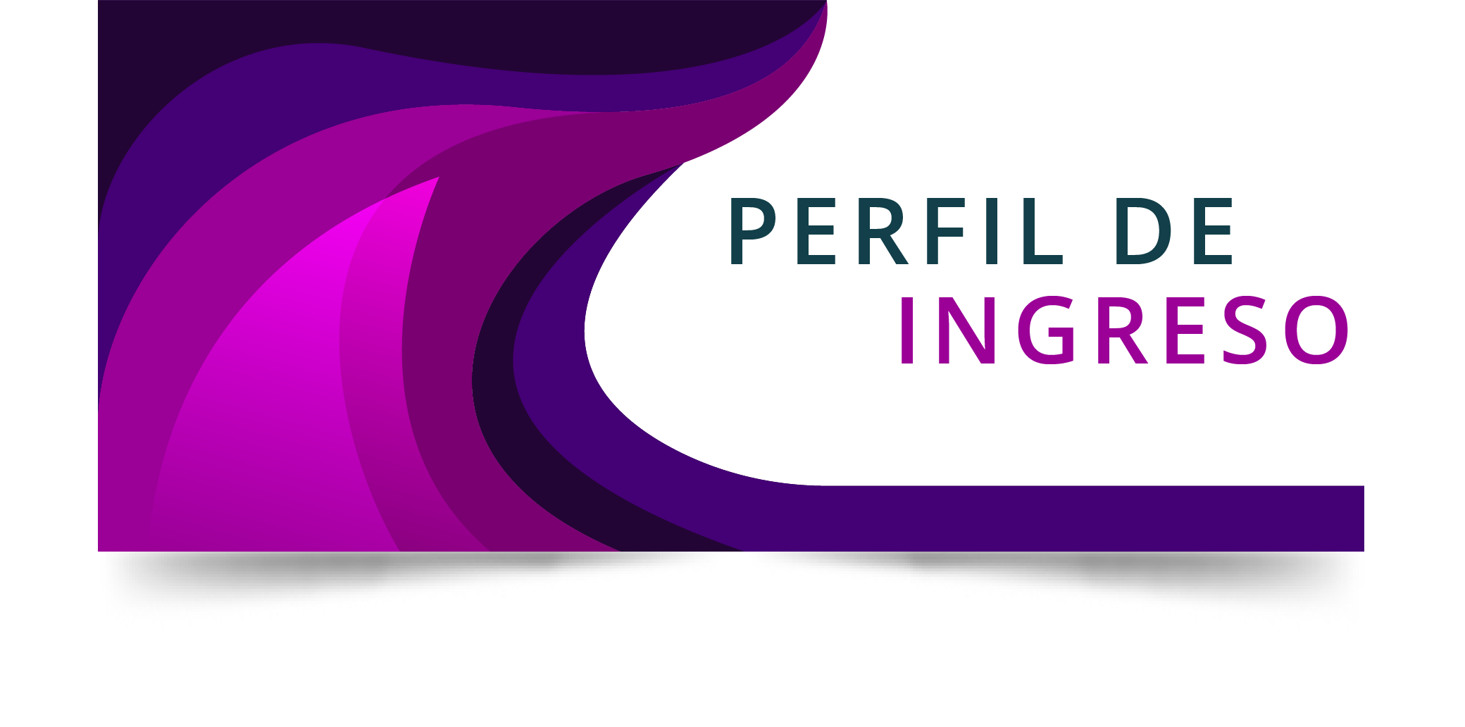 Perfil de Ingreso